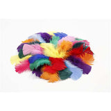 Feathers Assorted colours 50g