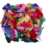 Feathers Assorted colours 50g
