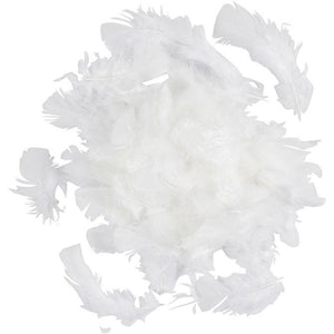 Feathers 7-8Cm White 50G