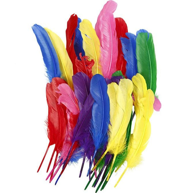 Feathers, 36 pcs, 20cm, asstd