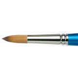 COTMAN 111 NO 8