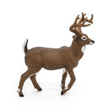 White-Tailed Deer