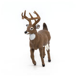 White-Tailed Deer
