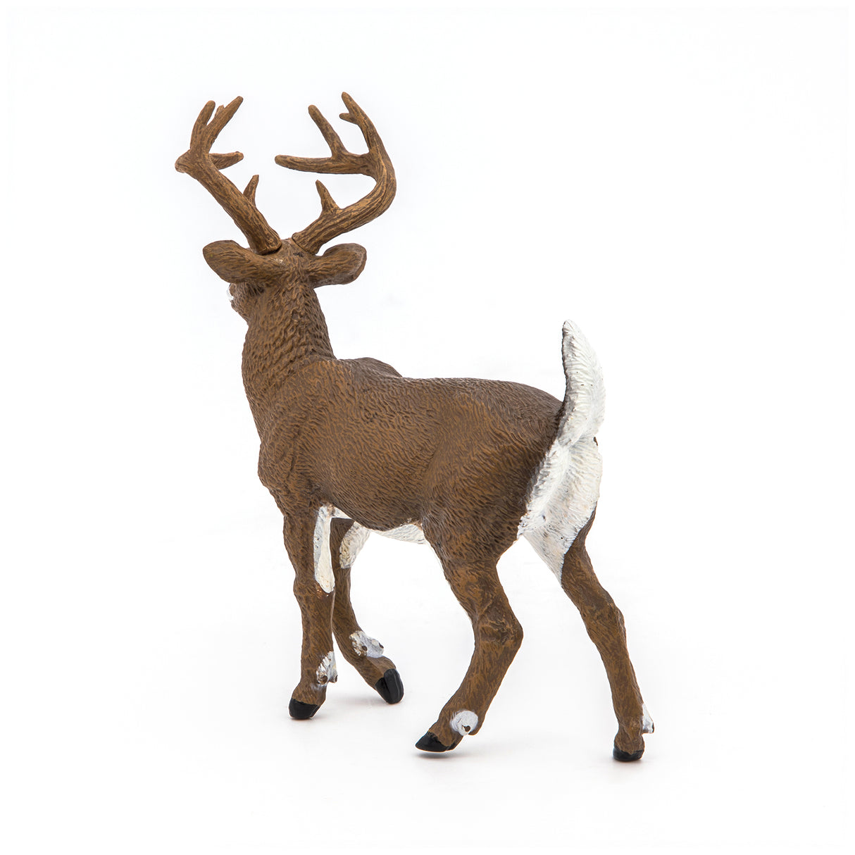 White-Tailed Deer