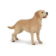 Papo Labrador