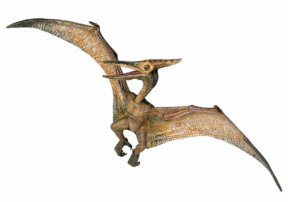 Papo Pteranadon