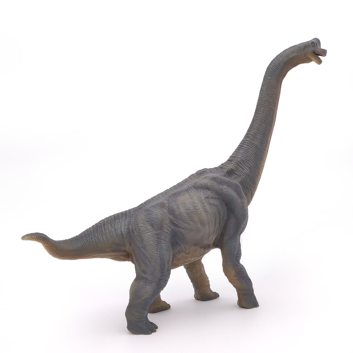 Papo Brachiosaurus