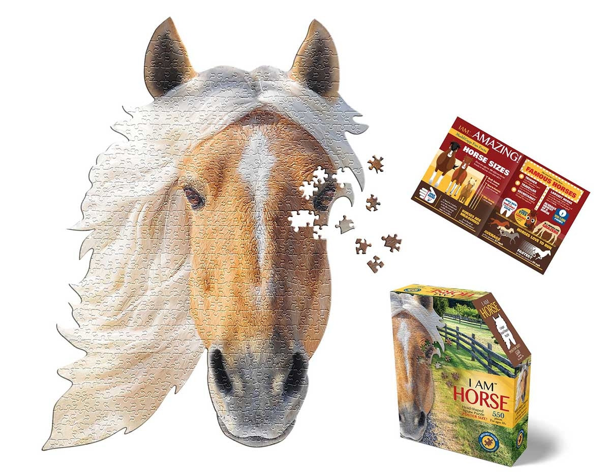 I AM LIL HORSE 300pc