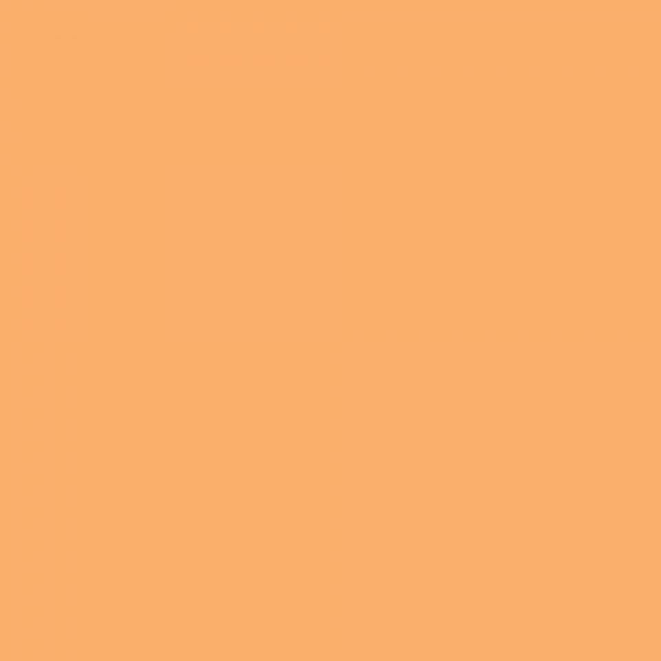 Apricot - Promarker Brush - Winsor & Newton