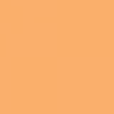 Apricot - Promarker Brush - Winsor & Newton