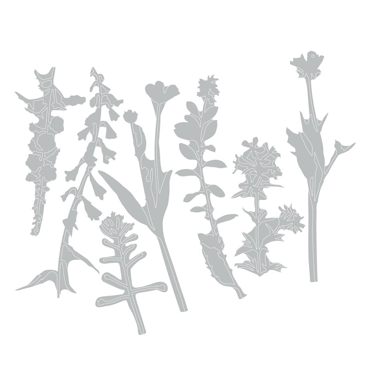 Sizzix Thinlits Die Set 7pk-Wildflowers 2 by Tim