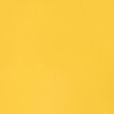 Liquitex - Heavy Body - 59ml Cadium Free Yellow Light S