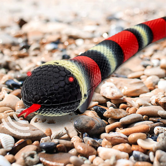 Discover Kids Toy Remote Control King Snake