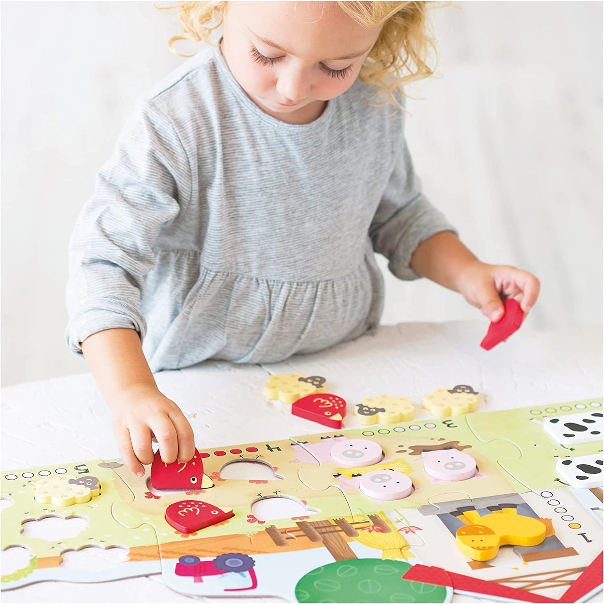 Galt Counting Puzzle