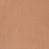 Galeria Acrylic Flesh Tint 60ml