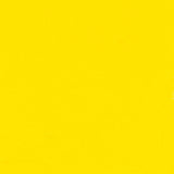 Winsor & Newton Des G 14ml Cad-Free Lemon