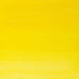 200ml Winsor Lemon - Artists' Oil