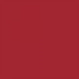 Winsor & Newton Promarker - Firebrick -R735