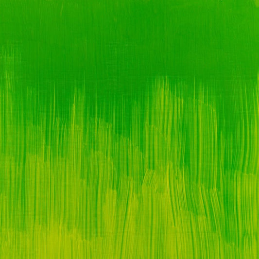 Winton Oil Colour Phthalo Yellow Green 200ml