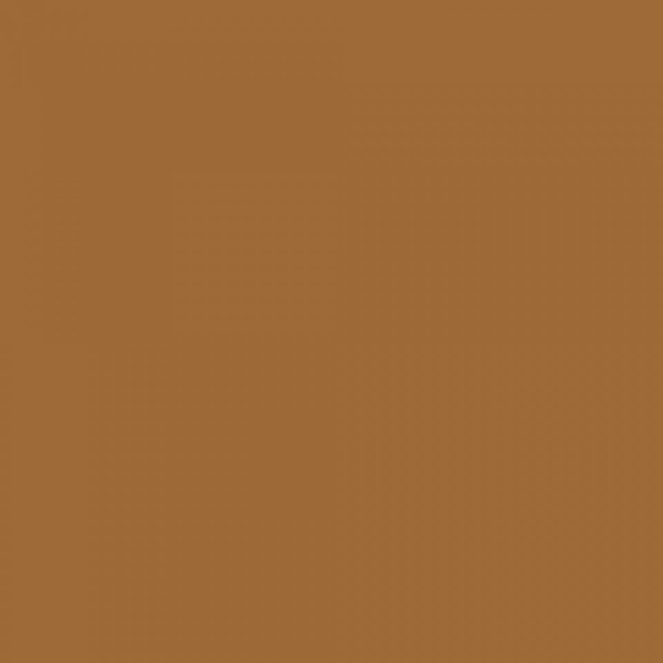 Winsor & Newton Promarker - Hazelnut - O534