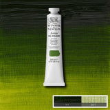 200ml Sap Green - Artists' Oil
