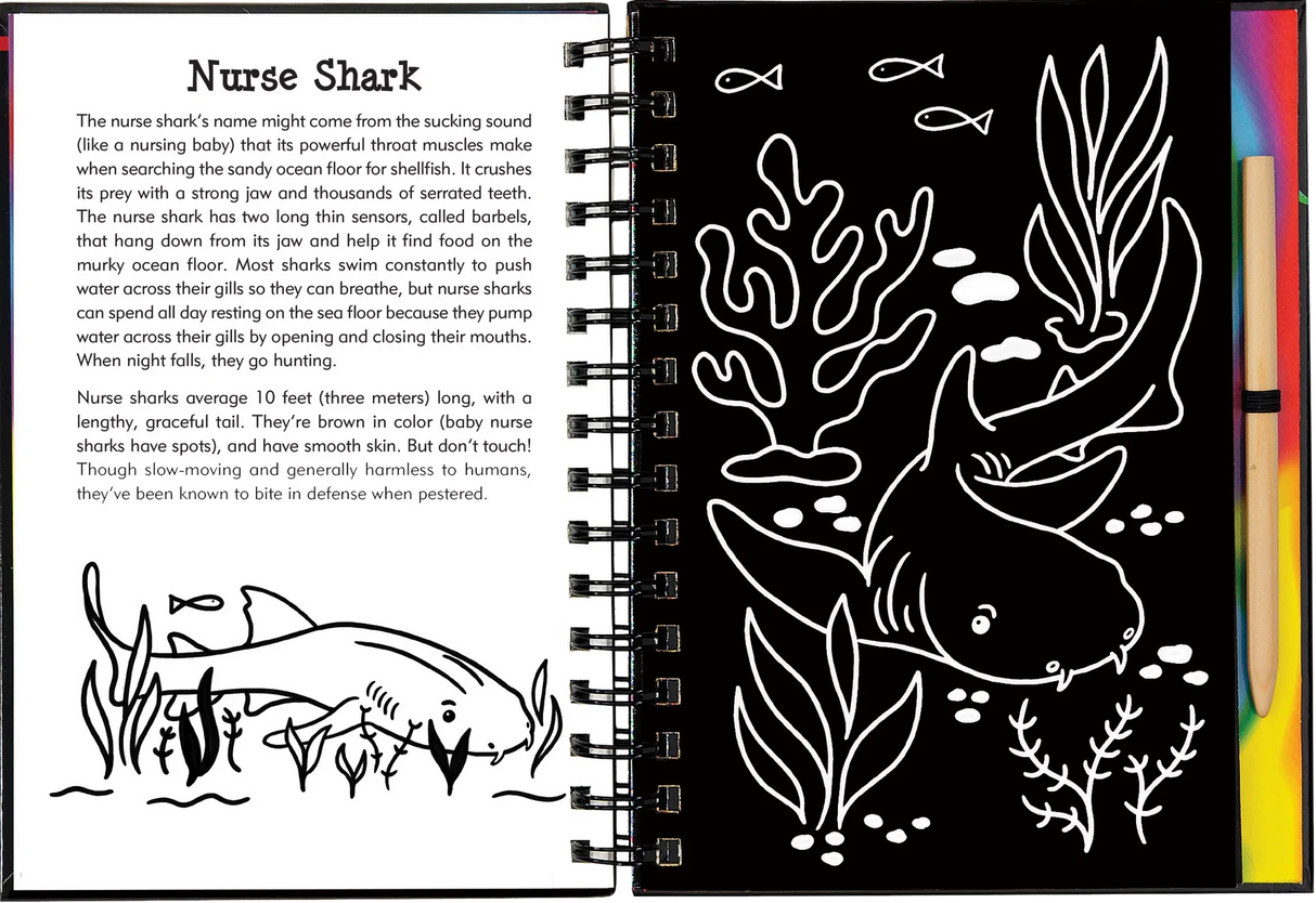 Sharks Scratch and Sketch