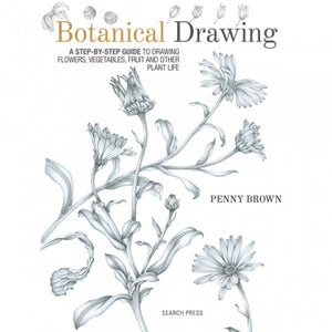 SP - Botanical Drawing