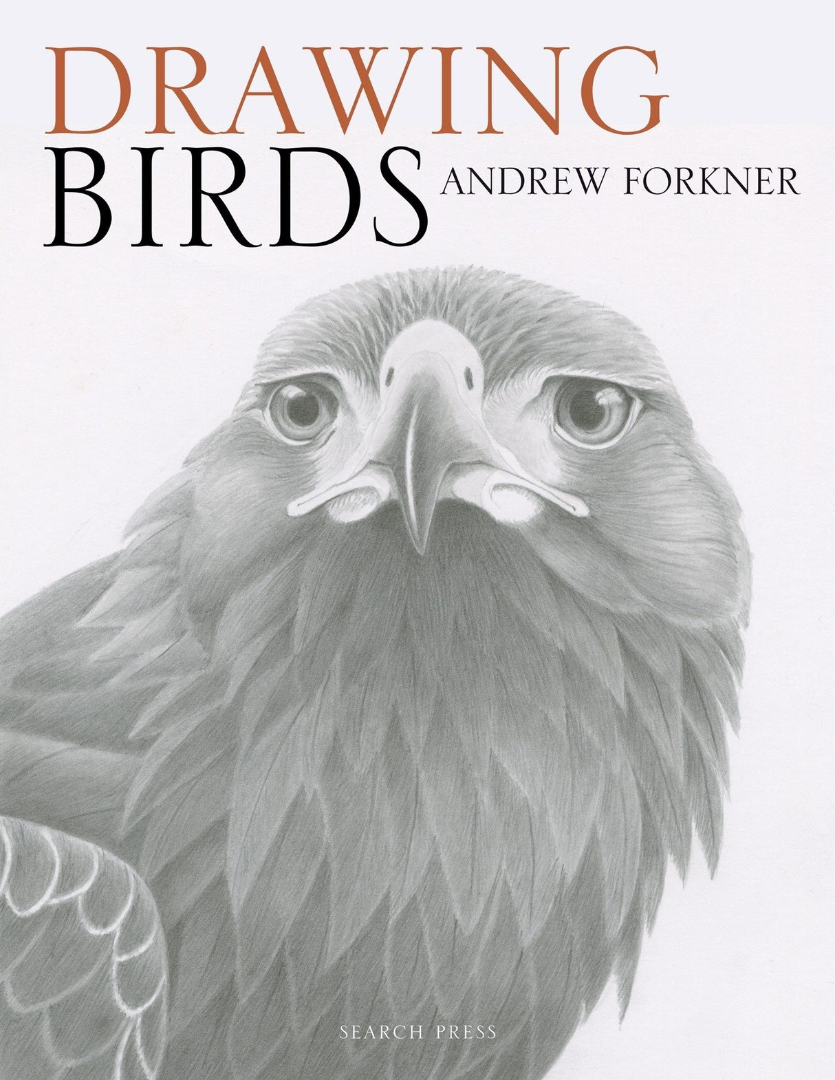 Sp - Drawing Birds