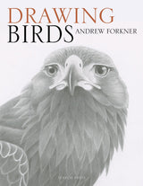 Sp - Drawing Birds