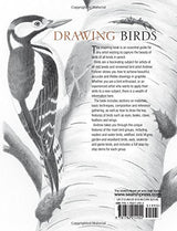 Sp - Drawing Birds