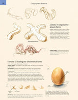 Sp - Field Guide To Drawing & Sketching