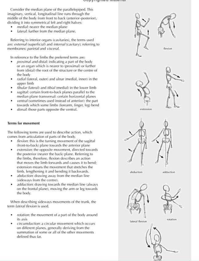 SP - Civardi: Drawing Human Anatomy