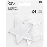 24 star shape paper tags