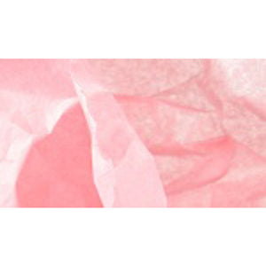 CANSON TISSUE PAPER ROLL - ROSE
