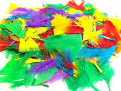 FUNFAIR FEATHERS 25G ASST.