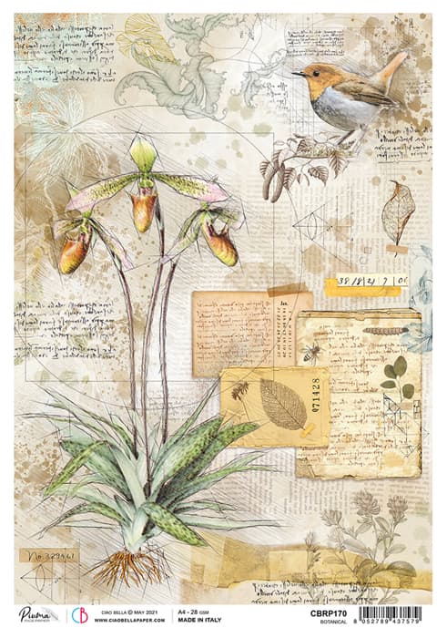 A4 Rice Paper x5 Botanical