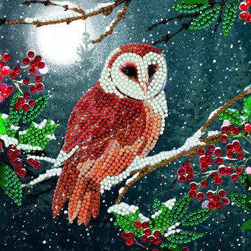 barn Owl 18x18cm Crystal Art Card