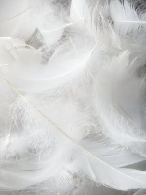 White Feathers Pack Of 200