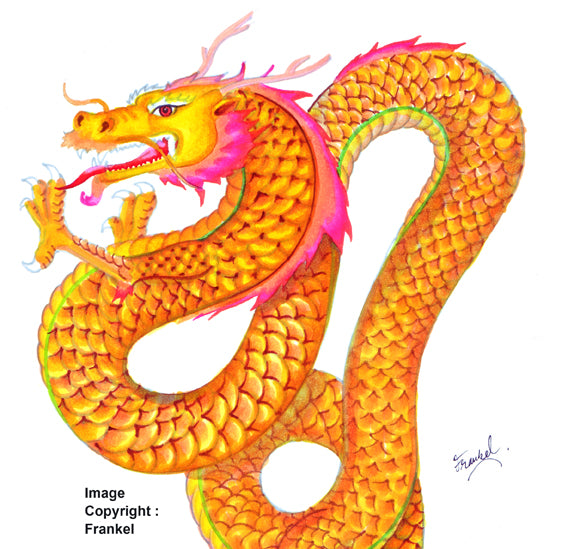 GRAPHIT BRUSH & EXTRA FINE Set 24 markers-Architec