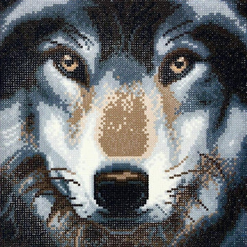 Wolf, 30x30cm Crystal Art Kit