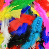 Asstorted Colour Feathers Pack Of 200