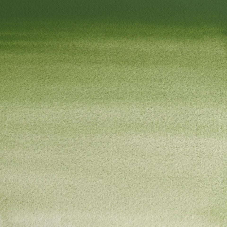 Professional Watercolour Series Oxide of Chromium