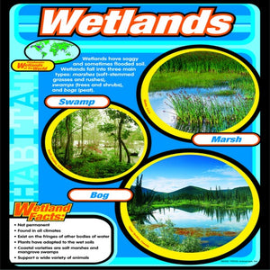 LEARNING CHART-WETLANDS *SPECIAL*