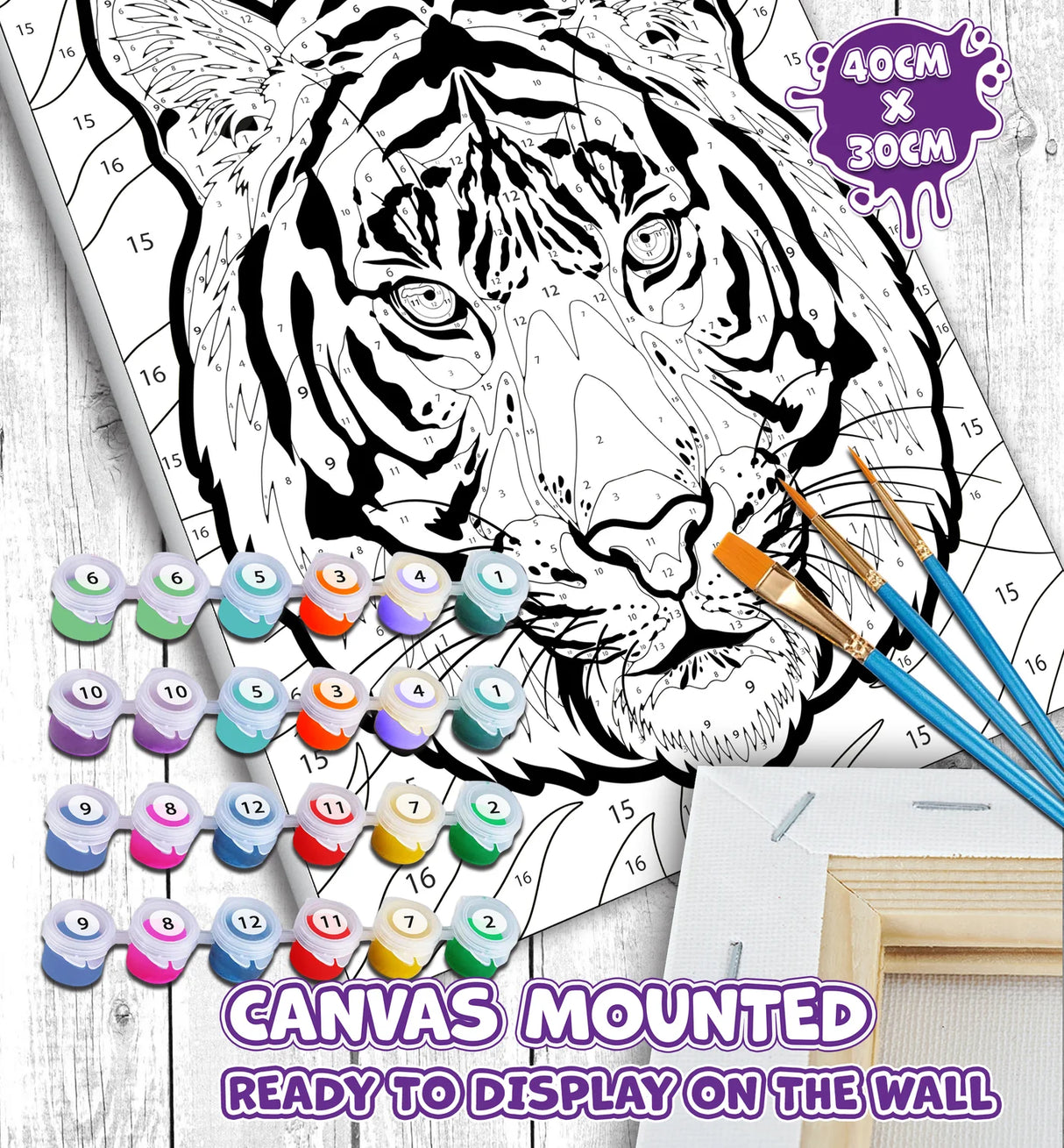 Tiger Jungle Paint By Numbers