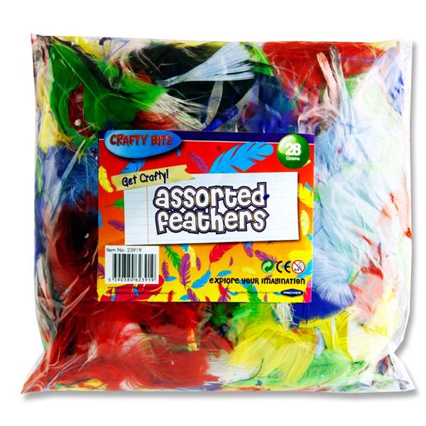 28G Bag Assorted Feathers