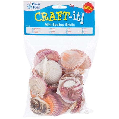 Mini Scallop Shells