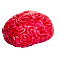 Squidgy Brain