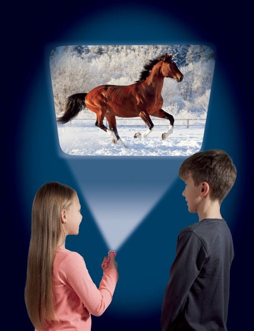 Horse Torch and Projector