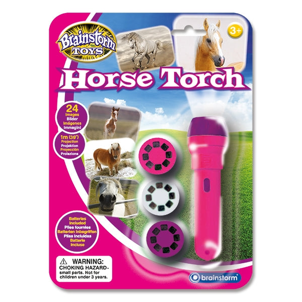 Horse Torch and Projector