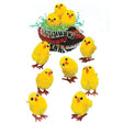 Mini Fluffy Chicks